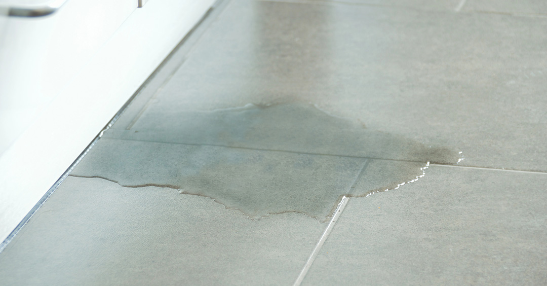 Don’t Ignore the Drip: Common Plumbing Hazards and How to Spot Them Early 